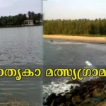 ജല ടൂറിസം, ഭക്ഷ്യശാല, കമ്യൂണിറ്റി ഹാൾ; കണ്ണൂരിൽ ഏഴര കോടി ചെലവിൽ മത്സ്യഗ്രാമം വരുന്നു