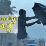 ആഞ്ഞുവീശിയത് അസാധാരണ കാറ്റ്, പലയിടത്തും നാശനഷ്ടം; ട്രാക്കിലേക്ക് മരം വീണ് ട്രെയിനുകൾ വൈകി