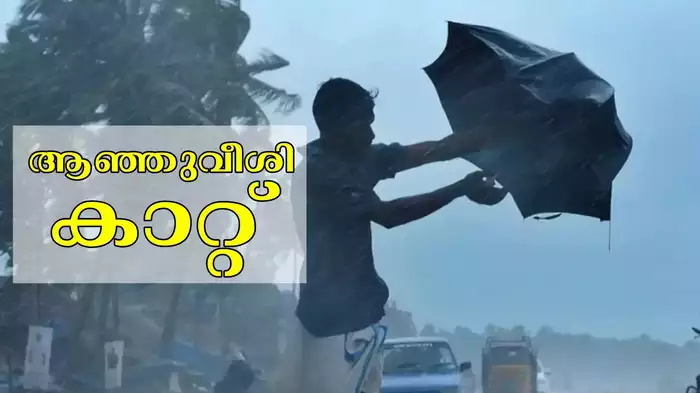 ആഞ്ഞുവീശിയത് അസാധാരണ കാറ്റ്, പലയിടത്തും നാശനഷ്ടം; ട്രാക്കിലേക്ക് മരം വീണ് ട്രെയിനുകൾ വൈകി