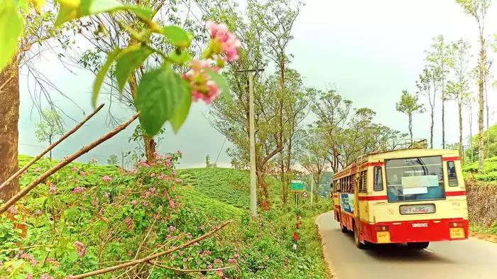 കുട്ടവഞ്ചിസവാരിയും ഗവിയിലെ കാഴ്ചകളും, ഒപ്പം പരുന്തുംപാറ യാത്രയും; ബുക്കിങ് ആരംഭിച്ചെന്ന് കെഎസ്ആർടിസി